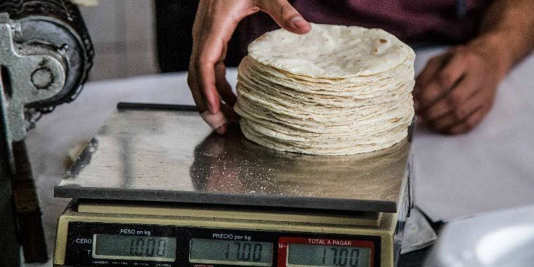 Aumentará precio de tortilla el 1 de diciembre
