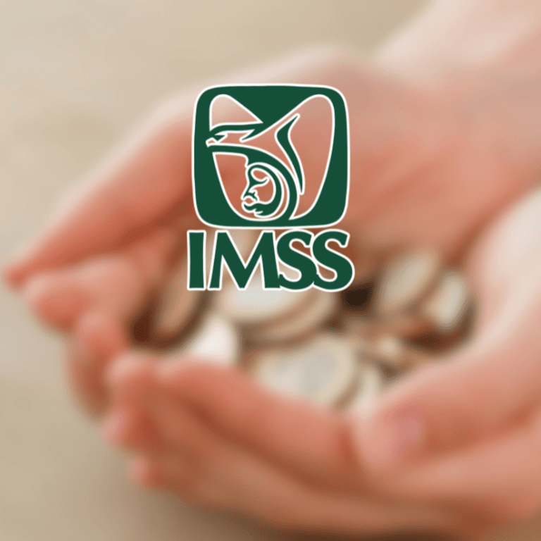 Evita errores: Modalidad 40 del IMSS, ¿en qué casos NO te conviene?