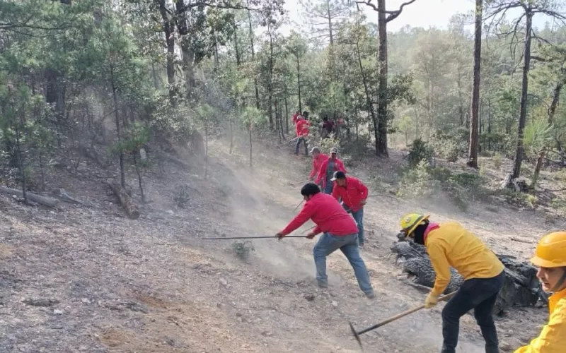 Refuerzan acciones de prevención de incendios forestales ante inicio del periodo vacacional